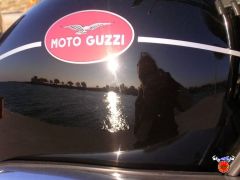 Moto Guzzi: Nevada 750ie